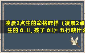 凌晨2点生的命格咋样（凌晨2点生的 🕸 孩子 🦢 五行缺什么）